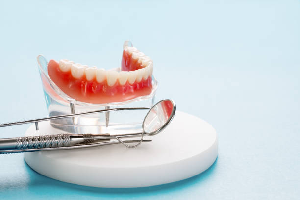 Best Preventive Dentistry  in Florence, TX
